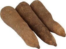 Benue Yam: Big Tuber